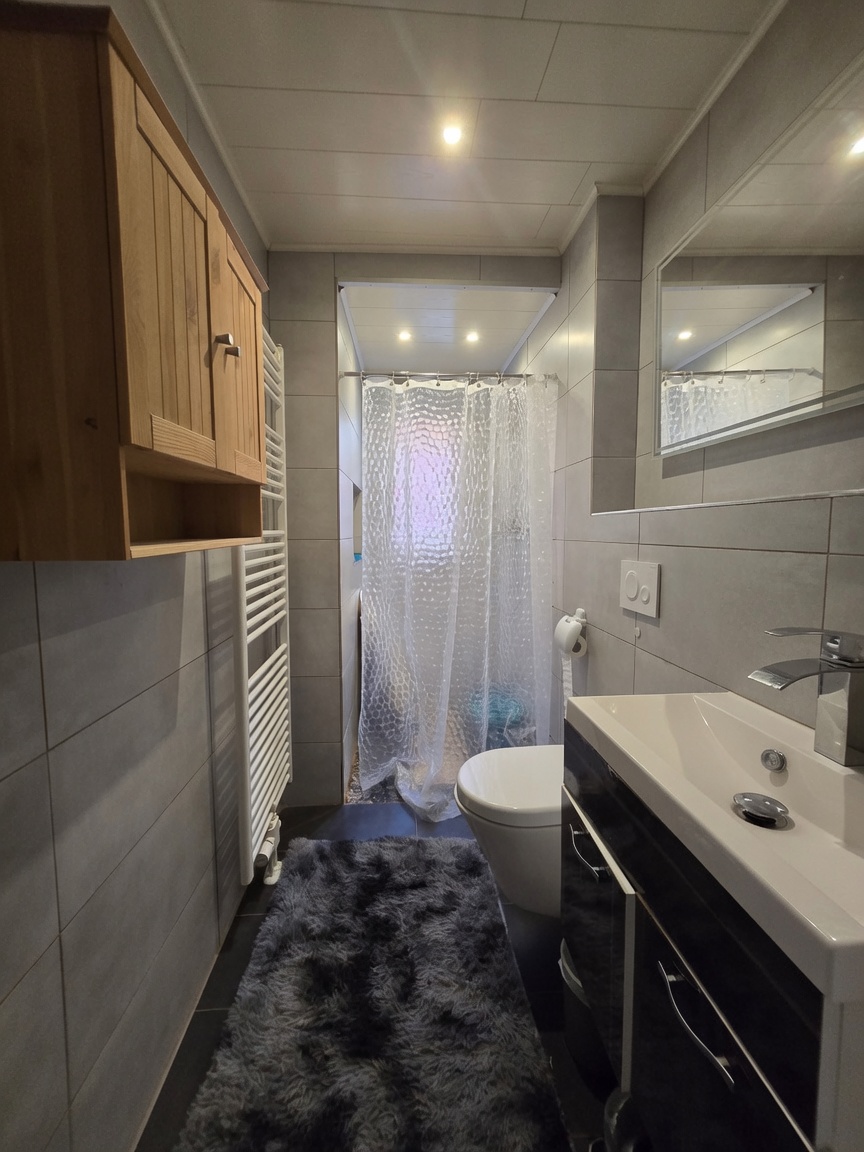Badezimmer (G�stebad) EG Reihenmittelhaus Mudau